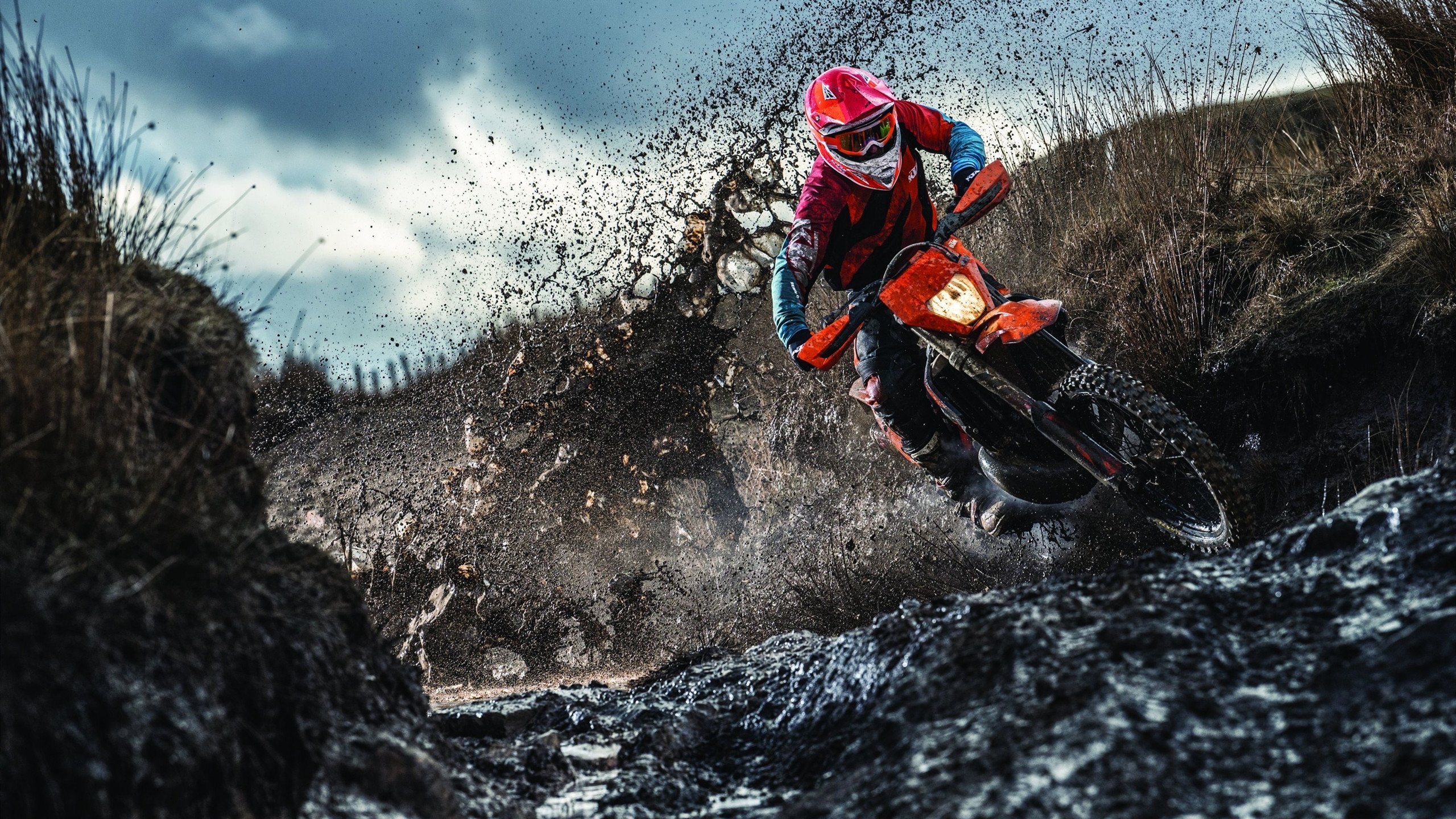 官网入口-凌晨四点半的生死抉择
